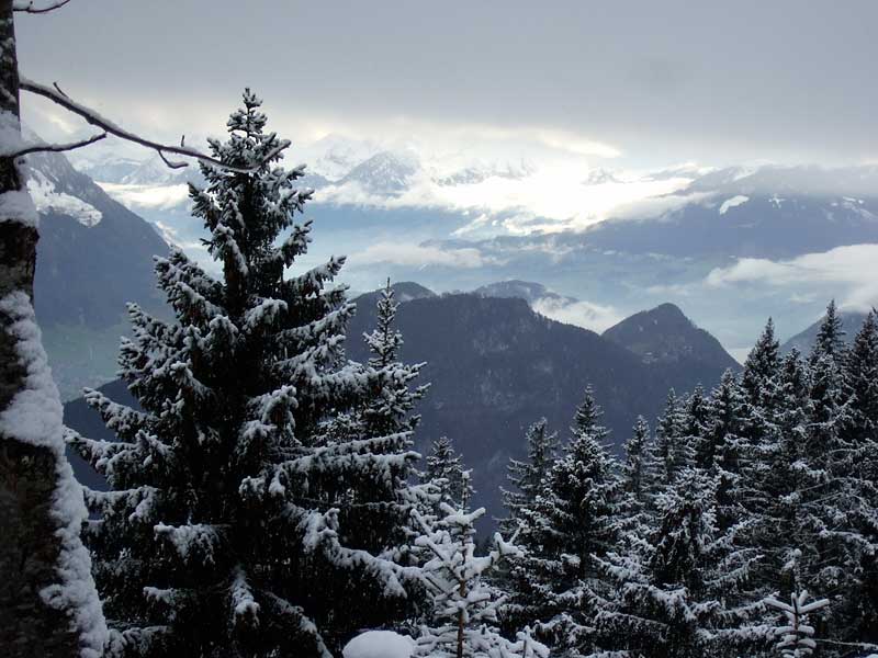 rigi 2016