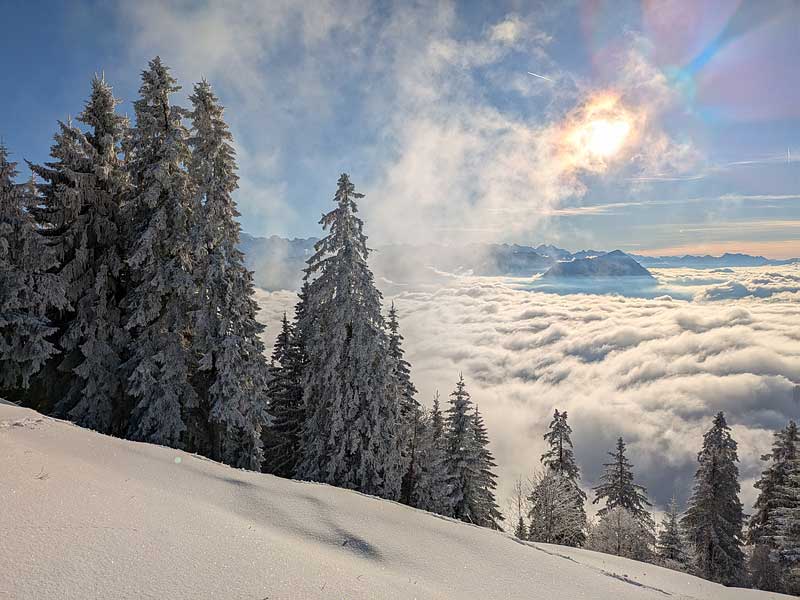 rigi 2026