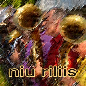 cd-cover 'niuu riliis'