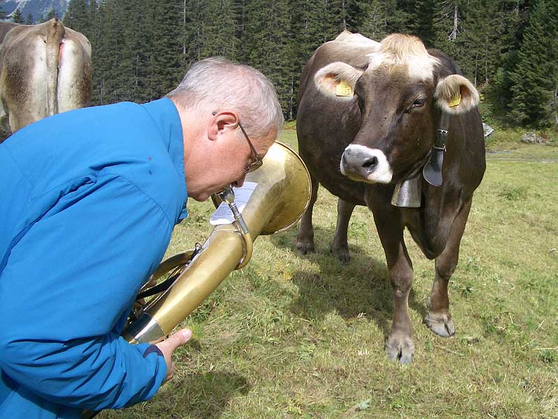 ruchenh&uuml;ttli