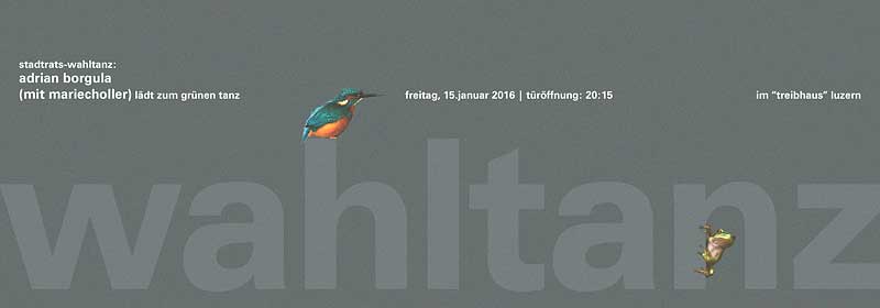 dä flyer flyer wahltanz